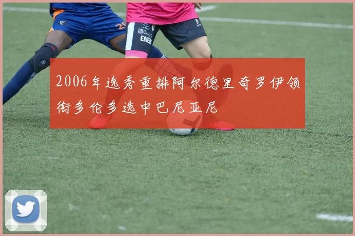 2006年选秀重排阿尔德里奇罗伊领衔多伦多选中巴尼亚尼