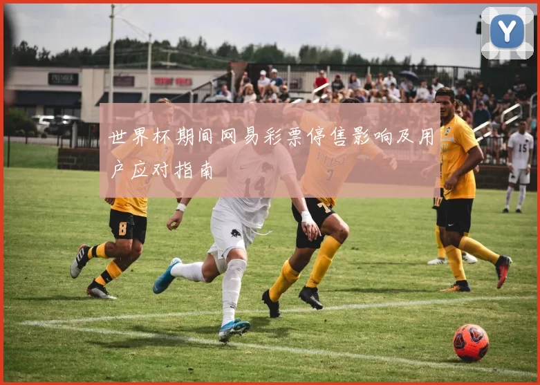 世界杯期间网易彩票停售影响及用户应对指南