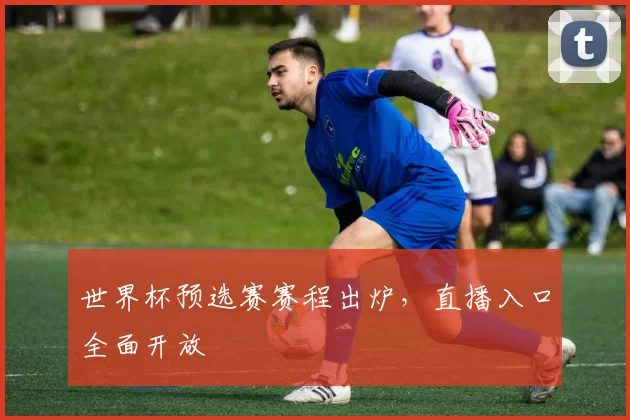 世界杯预选赛赛程出炉,直播入口全面开放