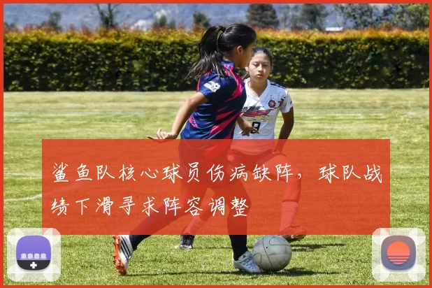 鲨鱼队核心球员伤病缺阵，球队战绩下滑寻求阵容调整