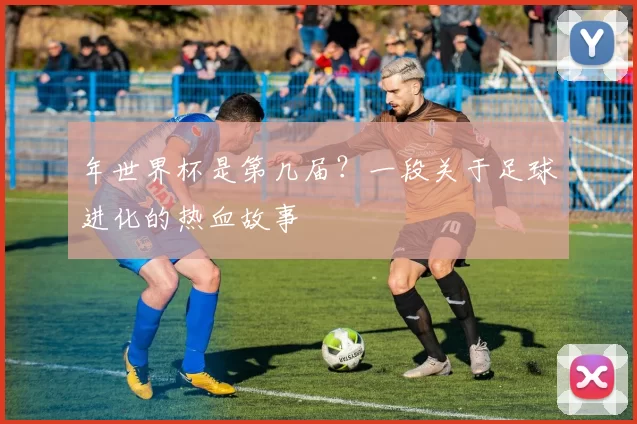 年世界杯是第几届？一段关于足球进化的热血故事