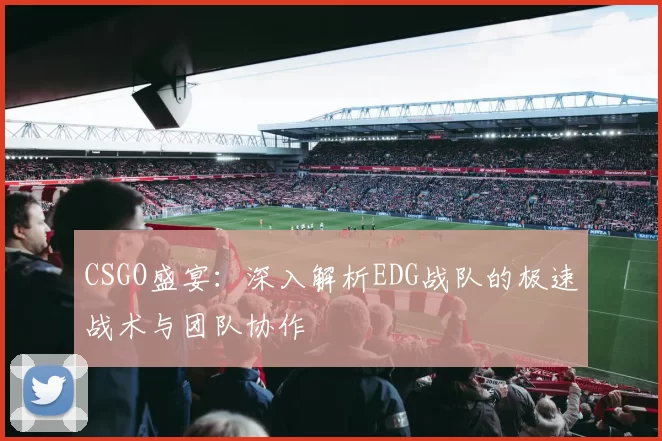 CSGO盛宴：深入解析EDG战队的极速战术与团队协作