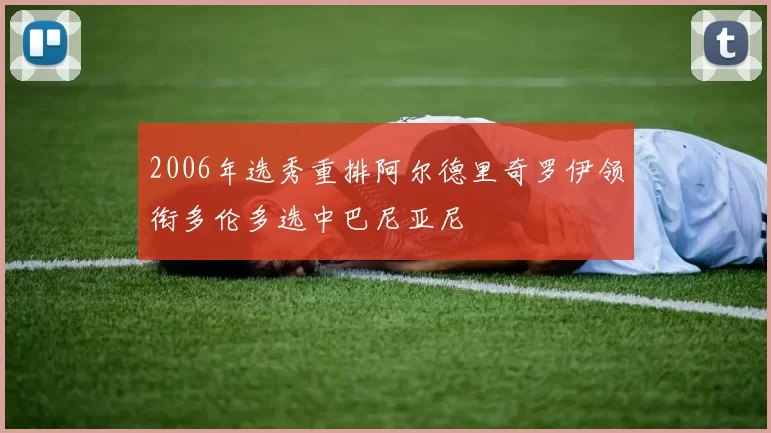2006年选秀重排阿尔德里奇罗伊领衔多伦多选中巴尼亚尼
