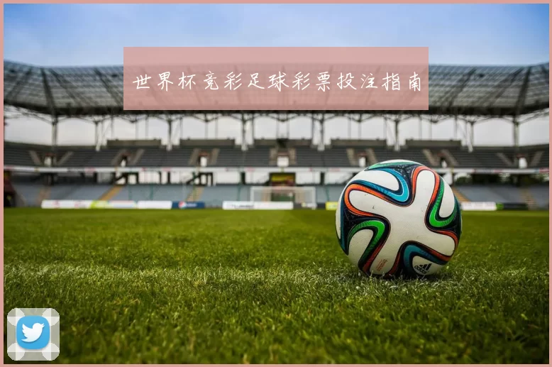 世界杯竞彩足球彩票投注指南