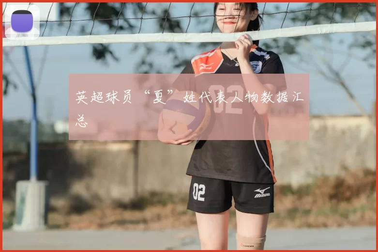 英超球员“夏”姓代表人物数据汇总