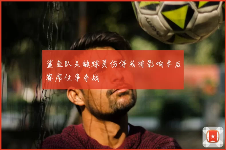 鲨鱼队关键球员伤停或将影响季后赛席位争夺战
