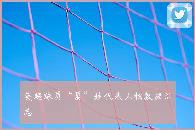 英超球员“夏”姓代表人物数据汇总